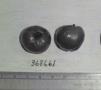 Click for 1 image(s) for this accession. FRUIT